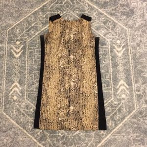 Snake Print Dress
